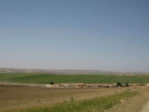 Verdure de Tissemssilt