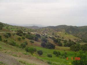 Paysage printanier de la région de Beni Bouattab à Tissemssilt