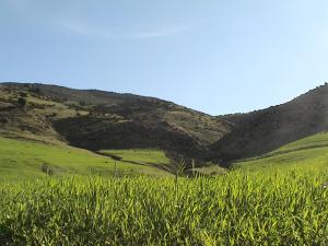 Paysage de Tissemssilt