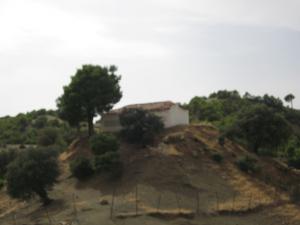 Sidi Hadj Aissa (Wilaya de Tissemssilt)