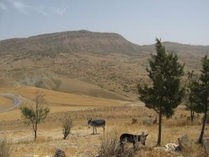 La Région de Sidi Said à Tissemssilt