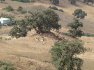 Makam Sidi Hadj Fkirin (Wilaya de Tissemssilt)