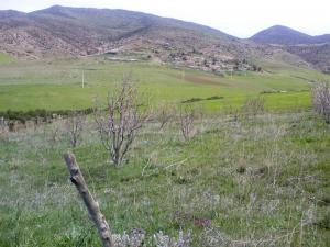 Survol de la région de Taza (Wilaya de Tissemssilt)