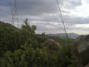 Paysage de la Commune de Taza (Wilaya de Tissemssilt)