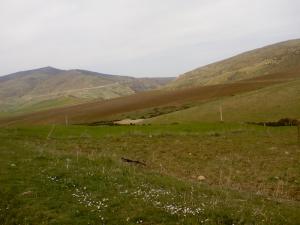 Région de Taza (Wilaya de Tissemssilt)