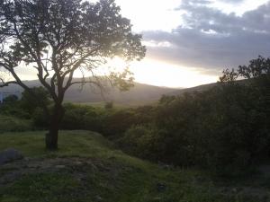 Paysage de taza au Printemps (Wilaya de Tissemssilt)