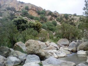 Paysage de Taza (Wilaya de Tissemssilt)