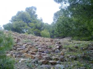 Paysage de Taza (Wilaya de Tissemssilt)