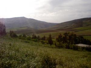 Paysage de taza au Printemps (Wilaya de Tissemssilt)