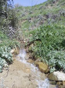 Paysage de taza au Printemps (Wilaya de Tissemssilt)