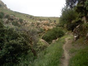 La Région de Taza au Printemps (Wilaya de Tissemssilt)