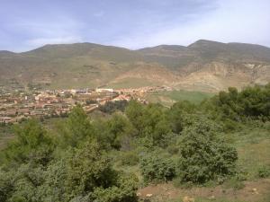 Tissemssilt au Printemps