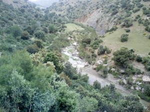 Cours d'eau dans la forêt de Taza à Tisemssilt