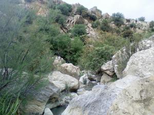 Paysage de taza au Printemps (Wilaya de Tissemssilt)