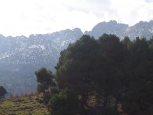 Verdure de Bordj-Bounaama au Printemps (Wilaya de Tissemssilt)