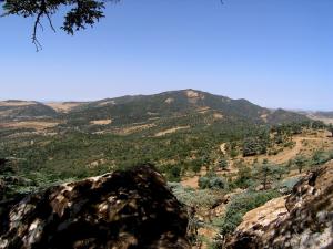 LBeauté de Theniet El Had au Printemps (Wilaya de Tissemssilt)