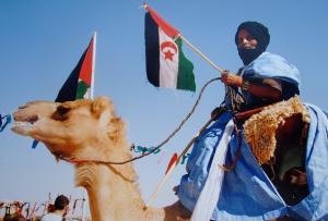 Chamelier avec le drapeau de la RASD ( République arabe sahraoui démocratique)