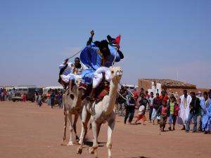 Course de Chameaux à Tindouf