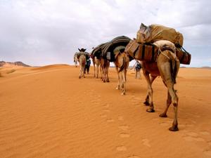 Caravane à Erg lguidi dans la Wilaya de Tindouf