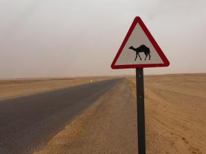 Route de Smara à Tindouf