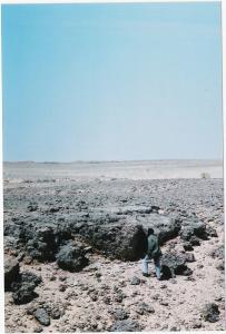 Sahara Hammada de Tindouf (Algérie)