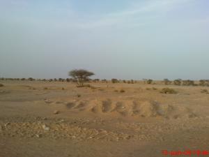 Paysage de Tindouf