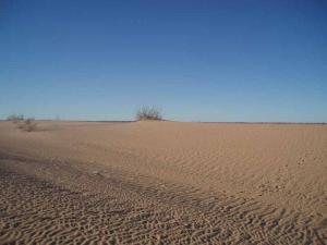 Près du campement de réfugiés Sahraouis (Tindouf)