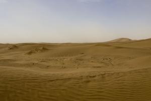 Erg Chegaga (Tindouf)