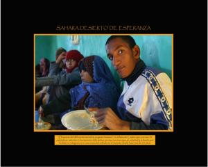 Réfugiés Sahraouis (Tindouf)