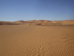 Région de Dajla dans le Sahara LIBRE