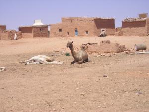 El Ayoun (Tindouf)