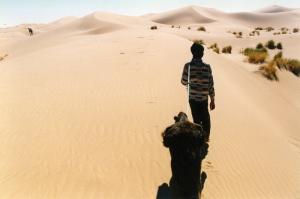 Caravane de Chameaux dans la région de M'Hamid