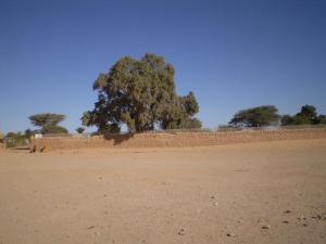 Smara (Wilaya de Tindouf)