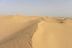 Sahara de Tindouf
