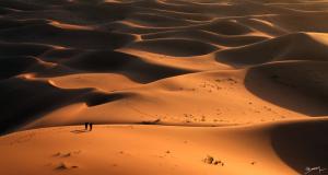 Le Désert de Tindouf