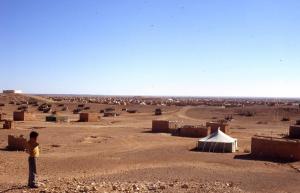 Vue générale de la région d'El Ayoune (Tindouf)