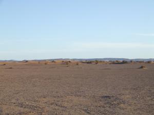 Le Sahara Algérien (Wilaya de Tindouf)