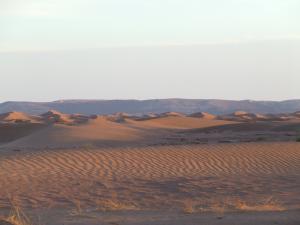 Le Sahara Algérien (Wilaya de Tindouf)