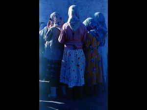 OUED-HAMLIL - ZEBOUDJA (Chlef).