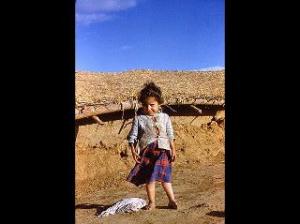 OUED-HAMLIL - ZEBOUDJA (Chlef).