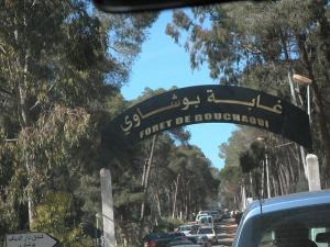 Forêt de Bouchaoui à Alger