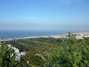 Paysage d'Alger au Printemps