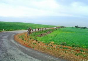 Djendel - Houssinia (Ex Bouhalouane)