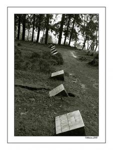 TibhirineNotre Dame de l'Atlas