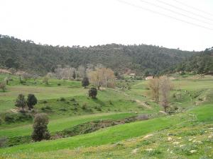 Paysage de la Région El Karl dans la Wilaya de Médéa