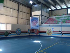 Affiche du Tournoi de Hand ball Scolaire à Médéa