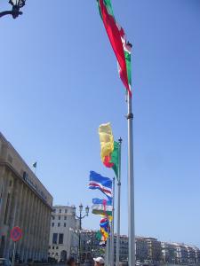 2IEME FESTIVAL PANAFRICAIN D'ALGER DU 5 AU 20 JUILLET 2009