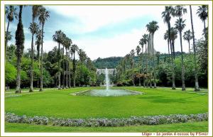 Alger , le Jardin d'Essai