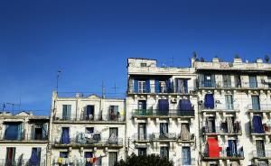 ALGER LA BLANCHE 2010