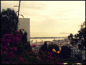 Matinée de Printemps sur Alger